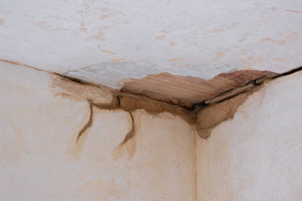Best Water damage cleanup near me  in Langhorne Manor, PA
