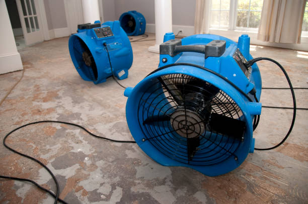 Best Water damage cleanup near me  in Langhorne Manor, PA