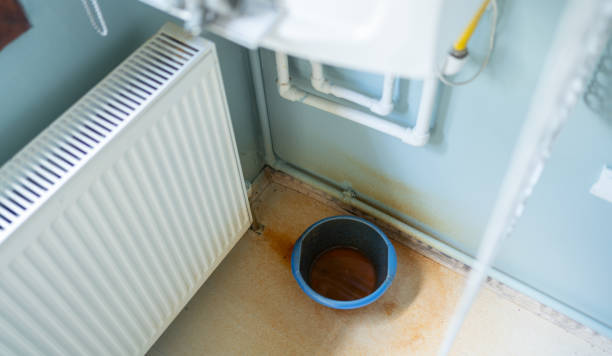 Best Local water damage restoration  in Langhorne Manor, PA