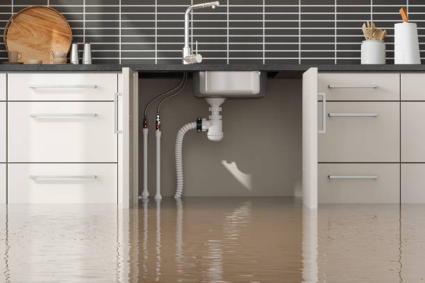 Best Ceiling water damage repair  in Langhorne Manor, PA