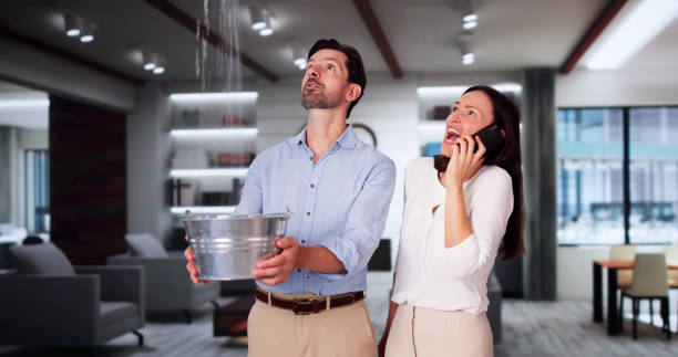 Best Flooded house restoration  in Langhorne Manor, PA